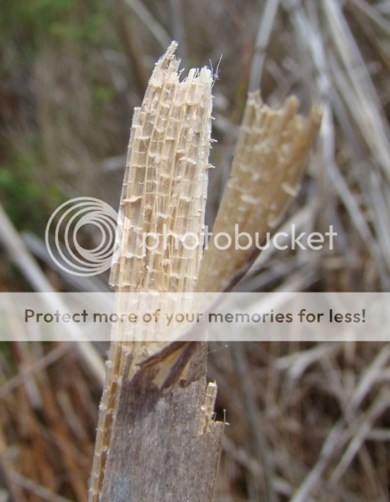 Laughing, Loving, Learning